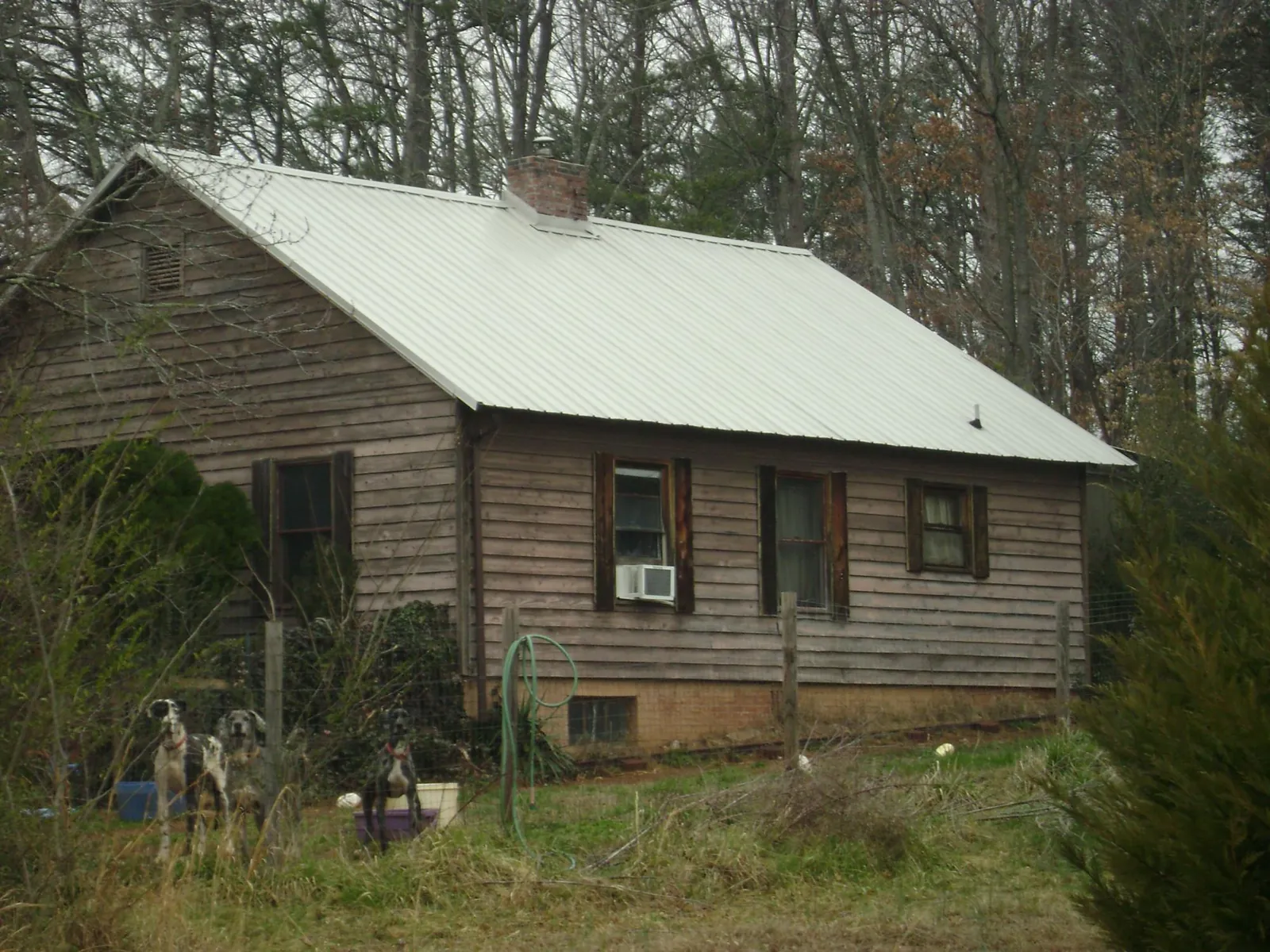 White metal roof on an old wood sided farmhouse in Middlebury